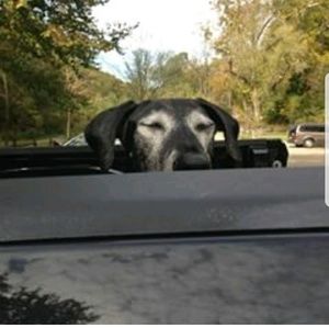 Meet your Posher, Carlee